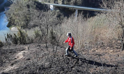 Las causas del incendio que se originó en Bera y que ha calcinado 1.800 hectáreas en Navarra, Guipúzcoa y Francia están siendo investigadas por la Policía Foral para determinar si el fuego ha sido fortuito o provocado, aunque parece que la actividad humana está detrás.