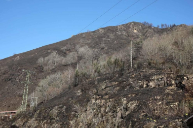 Las causas del incendio que se originó en Bera y que ha calcinado 1.800 hectáreas en Navarra, Guipúzcoa y Francia están siendo investigadas por la Policía Foral para determinar si el fuego ha sido fortuito o provocado, aunque parece que la actividad humana está detrás.