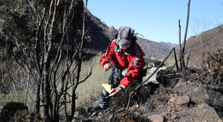 Las causas del incendio que se originó en Bera y que ha calcinado 1.800 hectáreas en Navarra, Guipúzcoa y Francia están siendo investigadas por la Policía Foral para determinar si el fuego ha sido fortuito o provocado, aunque parece que la actividad humana está detrás.