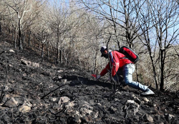 Las causas del incendio que se originó en Bera y que ha calcinado 1.800 hectáreas en Navarra, Guipúzcoa y Francia están siendo investigadas por la Policía Foral para determinar si el fuego ha sido fortuito o provocado, aunque parece que la actividad humana está detrás.