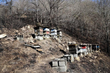 Las causas del incendio que se originó en Bera y que ha calcinado 1.800 hectáreas en Navarra, Guipúzcoa y Francia están siendo investigadas por la Policía Foral para determinar si el fuego ha sido fortuito o provocado, aunque parece que la actividad humana está detrás.