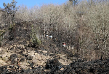 Las causas del incendio que se originó en Bera y que ha calcinado 1.800 hectáreas en Navarra, Guipúzcoa y Francia están siendo investigadas por la Policía Foral para determinar si el fuego ha sido fortuito o provocado, aunque parece que la actividad humana está detrás.