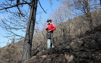 Las causas del incendio que se originó en Bera y que ha calcinado 1.800 hectáreas en Navarra, Guipúzcoa y Francia están siendo investigadas por la Policía Foral para determinar si el fuego ha sido fortuito o provocado, aunque parece que la actividad humana está detrás.