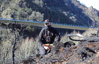 Las causas del incendio que se originó en Bera y que ha calcinado 1.800 hectáreas en Navarra, Guipúzcoa y Francia están siendo investigadas por la Policía Foral para determinar si el fuego ha sido fortuito o provocado, aunque parece que la actividad humana está detrás.