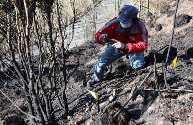 Las causas del incendio que se originó en Bera y que ha calcinado 1.800 hectáreas en Navarra, Guipúzcoa y Francia están siendo investigadas por la Policía Foral para determinar si el fuego ha sido fortuito o provocado, aunque parece que la actividad humana está detrás.