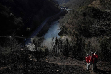 Las causas del incendio que se originó en Bera y que ha calcinado 1.800 hectáreas en Navarra, Guipúzcoa y Francia están siendo investigadas por la Policía Foral para determinar si el fuego ha sido fortuito o provocado, aunque parece que la actividad humana está detrás.