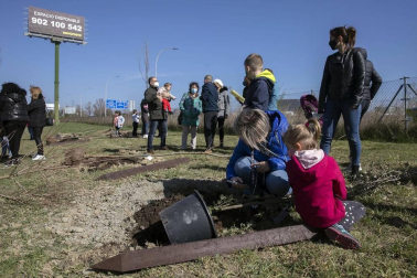 Decenas de personas han participado este sábado en Noáin en la plantación de árboles organizada por el Ayuntamiento de la localidad.