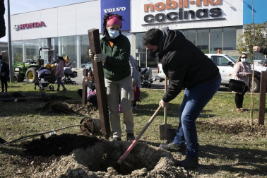 Decenas de personas han participado este sábado en Noáin en la plantación de árboles organizada por el Ayuntamiento de la localidad.