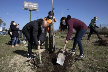 Decenas de personas han participado este sábado en Noáin en la plantación de árboles organizada por el Ayuntamiento de la localidad.