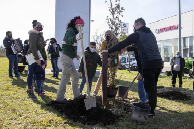 Decenas de personas han participado este sábado en Noáin en la plantación de árboles organizada por el Ayuntamiento de la localidad.