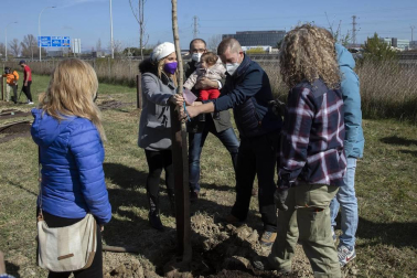 Decenas de personas han participado este sábado en Noáin en la plantación de árboles organizada por el Ayuntamiento de la localidad.