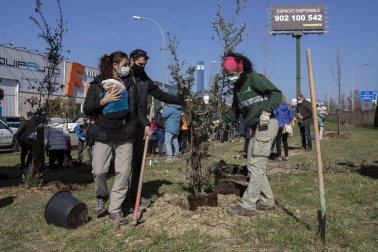 Decenas de personas han participado este sábado en Noáin en la plantación de árboles organizada por el Ayuntamiento de la localidad.