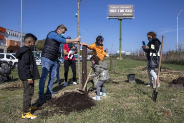 Decenas de personas han participado este sábado en Noáin en la plantación de árboles organizada por el Ayuntamiento de la localidad.