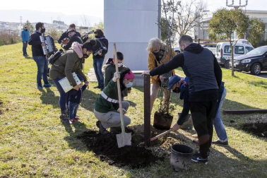 Decenas de personas han participado este sábado en Noáin en la plantación de árboles organizada por el Ayuntamiento de la localidad.