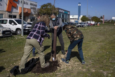 Decenas de personas han participado este sábado en Noáin en la plantación de árboles organizada por el Ayuntamiento de la localidad.