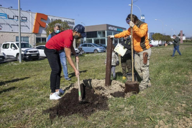Decenas de personas han participado este sábado en Noáin en la plantación de árboles organizada por el Ayuntamiento de la localidad.