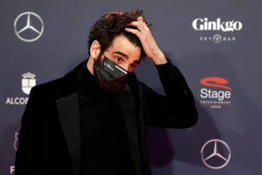 Galería de fotos de la alfombra roja de los Premios Feroz 2021