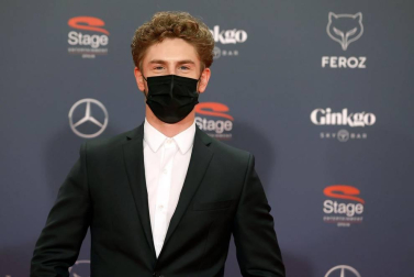 Galería de fotos de la alfombra roja de los Premios Feroz 2021