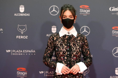 Galería de fotos de la alfombra roja de los Premios Feroz 2021