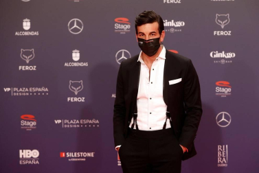 Galería de fotos de la alfombra roja de los Premios Feroz 2021