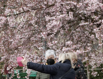 Pese a que la primavera astronómica no comenzará hasta el 20 de marzo, los árboles de los parques y jardines de Pamplona ya lucen sus flores.