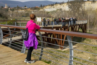 La semana del 8 al 14 de marzo, vista por los fotógrafos de Diario de Navarra