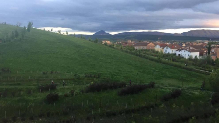 Fotos de la primavera enviadas por los lectores de diariodenavarra.es
