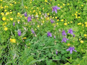 Fotos de la primavera enviadas por los lectores de diariodenavarra.es