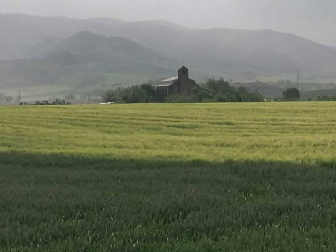 Fotos de la primavera enviadas por los lectores de diariodenavarra.es