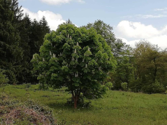Fotos de la primavera enviadas por los lectores de diariodenavarra.es