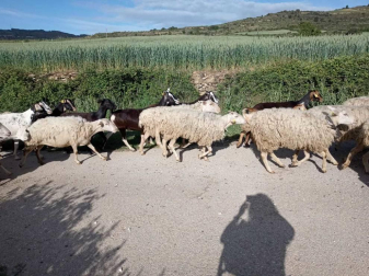 Fotos de la primavera enviadas por los lectores de diariodenavarra.es