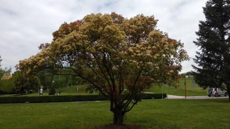 Fotos de la primavera enviadas por los lectores de diariodenavarra.es