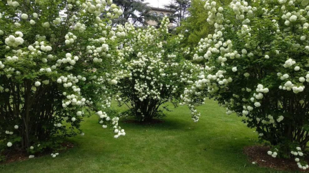 Fotos de la primavera enviadas por los lectores de diariodenavarra.es