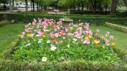 Fotos de la primavera enviadas por los lectores de diariodenavarra.es