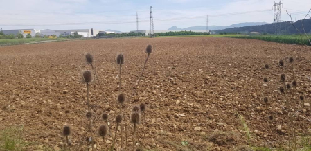 Fotos de la primavera enviadas por los lectores de diariodenavarra.es