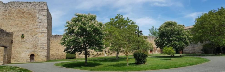 Fotos de la primavera enviadas por los lectores de diariodenavarra.es