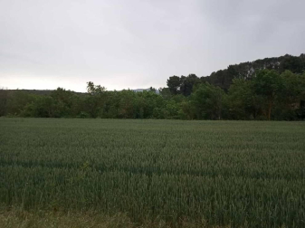 Fotos de la primavera enviadas por los lectores de diariodenavarra.es