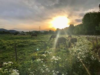Fotos de la primavera enviadas por los lectores de diariodenavarra.es