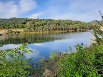 Fotos de la primavera enviadas por los lectores de diariodenavarra.es