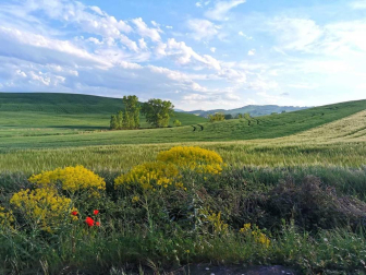 Fotos de la primavera enviadas por los lectores de diariodenavarra.es