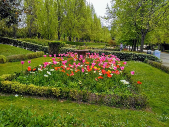 Fotos de la primavera enviadas por los lectores de diariodenavarra.es
