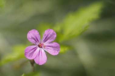 Fotos de la primavera enviadas por los lectores de diariodenavarra.es