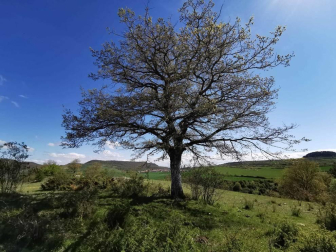 Fotos de la primavera enviadas por los lectores de diariodenavarra.es