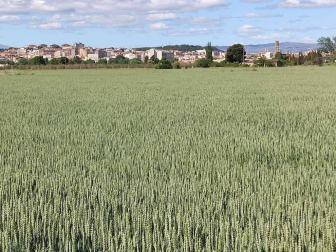 Fotos de la primavera enviadas por los lectores de diariodenavarra.es