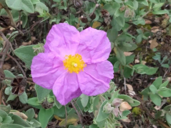 Fotos de la primavera enviadas por los lectores de diariodenavarra.es