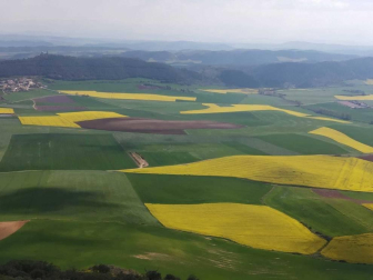 Fotos de la primavera enviadas por los lectores de diariodenavarra.es