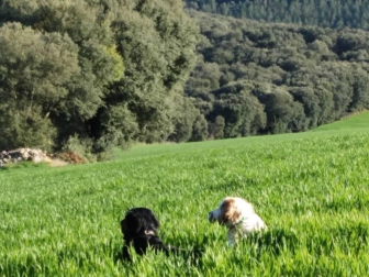 Fotos de la primavera enviadas por los lectores de diariodenavarra.es