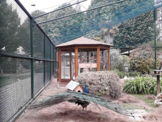 Fotos de la primavera enviadas por los lectores de diariodenavarra.es