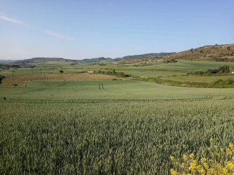 Fotos de la primavera enviadas por los lectores de diariodenavarra.es