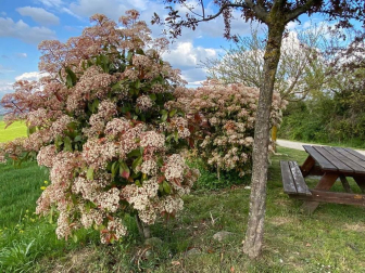 Fotos de la primavera enviadas por los lectores de diariodenavarra.es